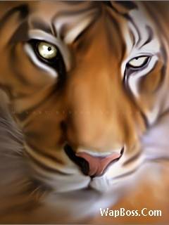 tiger