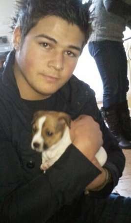 cute pupp