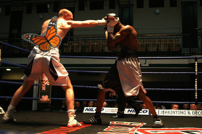 my 2nd fight.