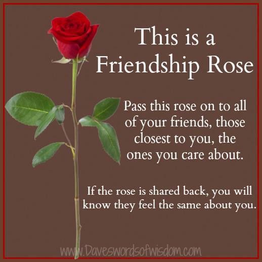 rose