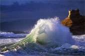WAVE BLOS