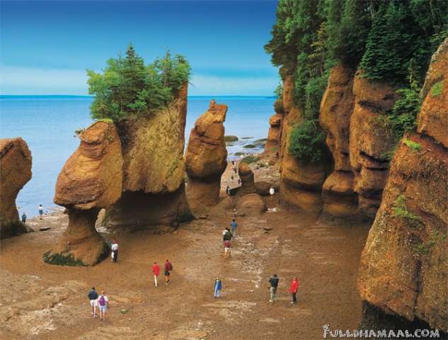 BAY OF FU