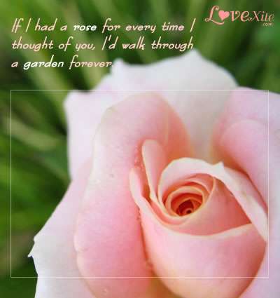 iF i HaD a rOsE