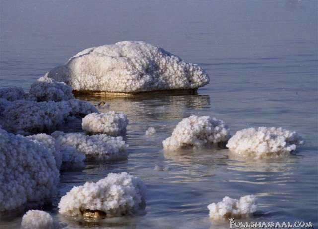 DEAD SEA 