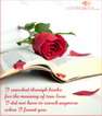 I SEARCH~