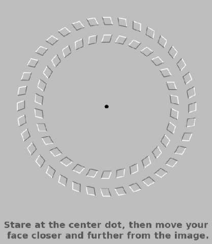 Optical i
