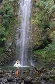 FALLS BLO