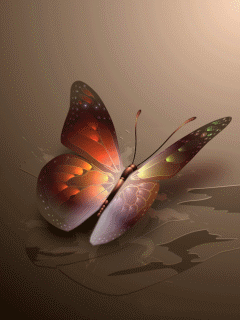 Butter fly.