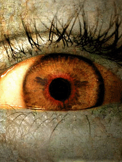 Eye
