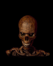 Skull