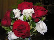 Good morning friends.