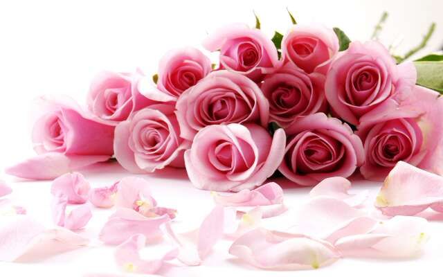 roses