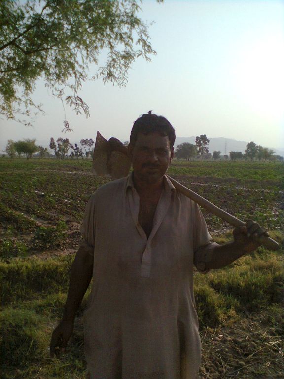 The farmer .rabnwaz