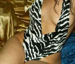 lap it up