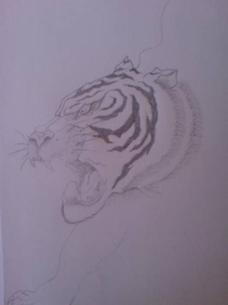drawing22