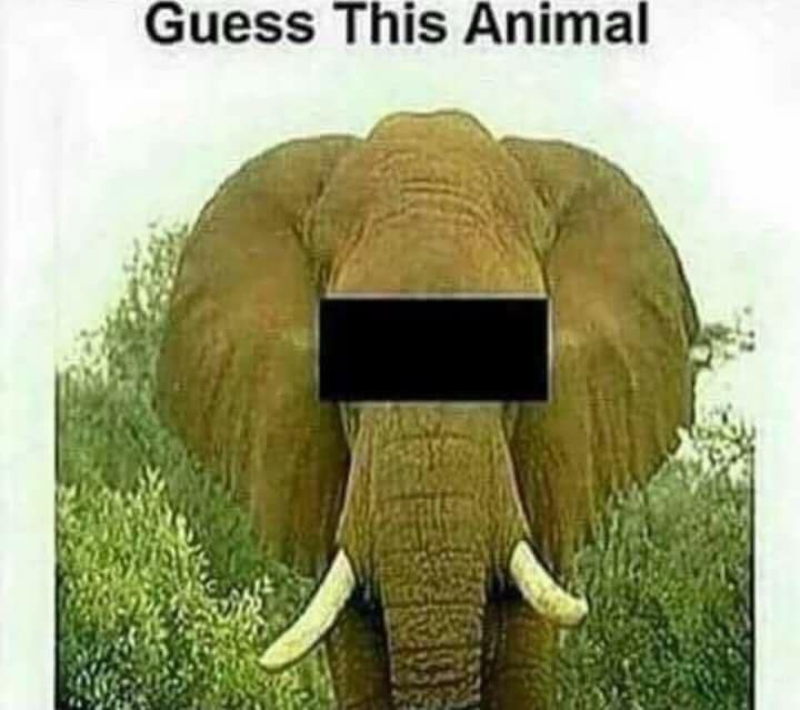 :x
