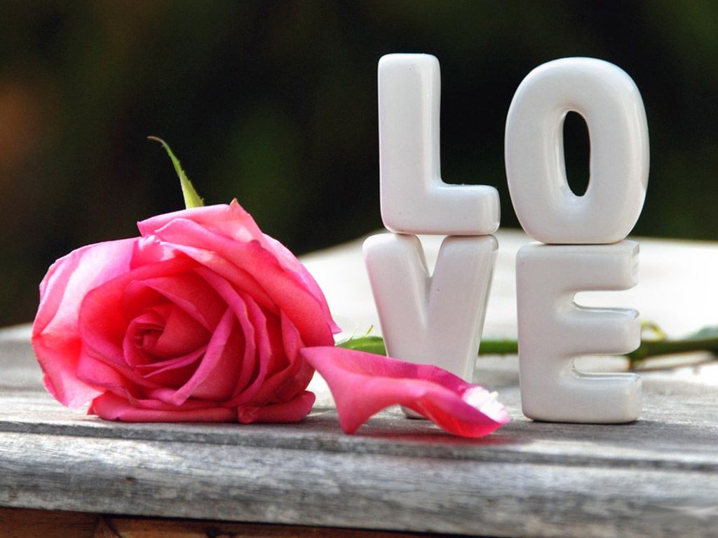Love wllp