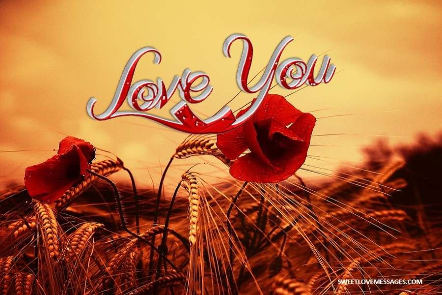 Sweet lov