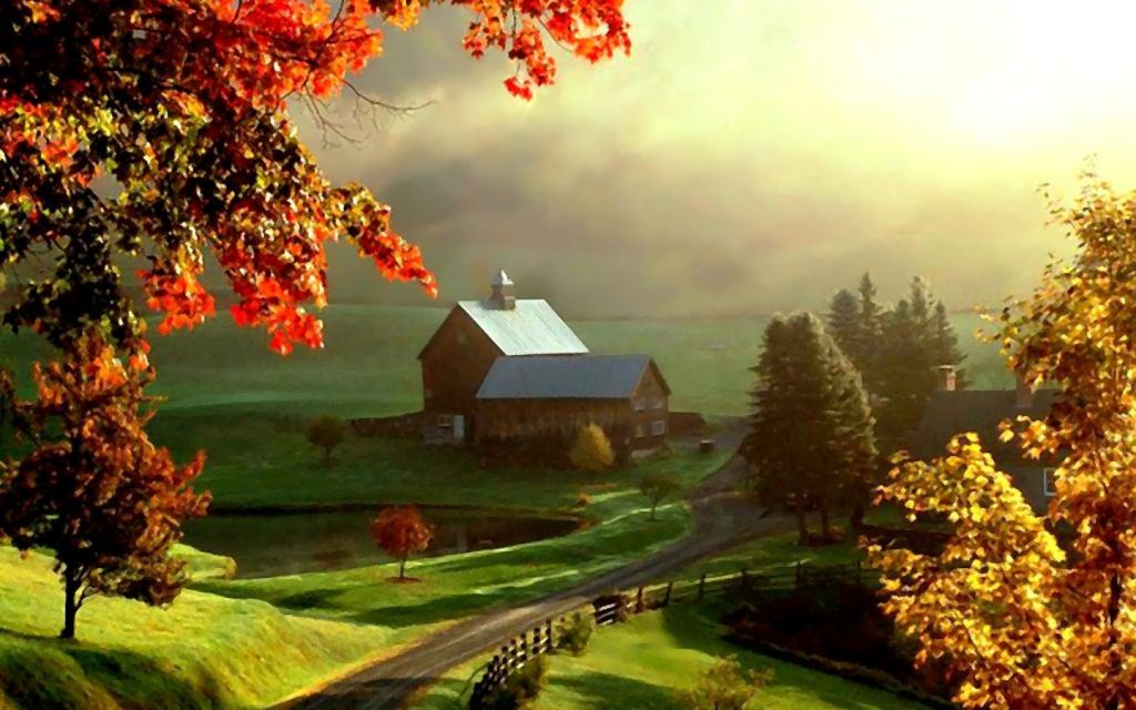 Beautiful farm