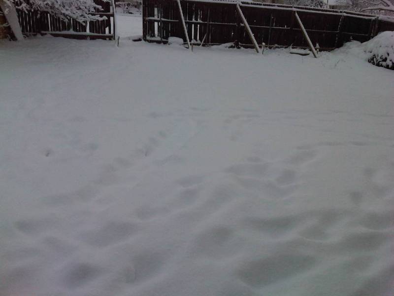 more snow