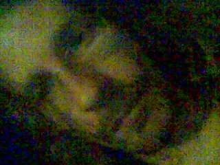 Stoned an