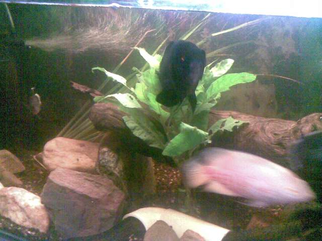 My Oscar 