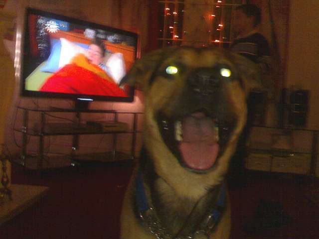 jake