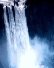 GIF 1