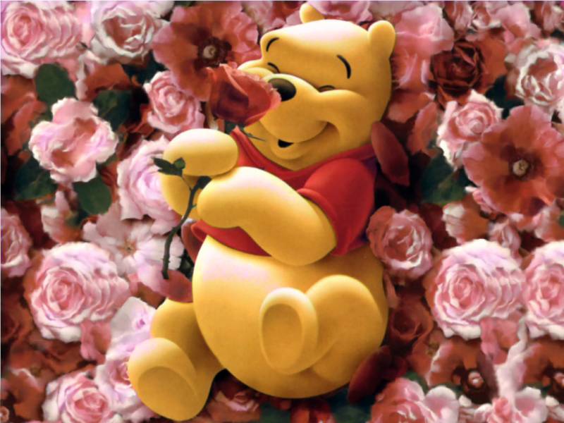 Pooh 1
