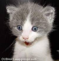 Surprised