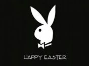 happy easter bunny