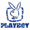 playboy glitter