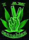 cannabian