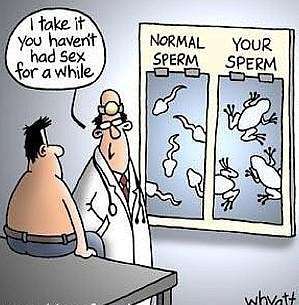 sperm
