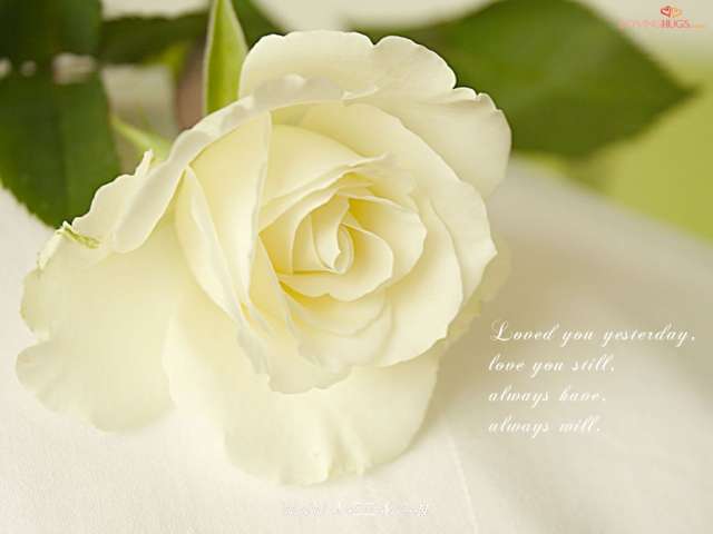 Rose.with