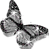 buttyfly