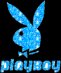 flash playboy