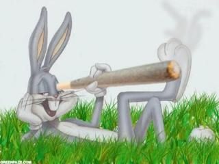 Bugs Bunn