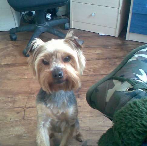 my baby boi gen