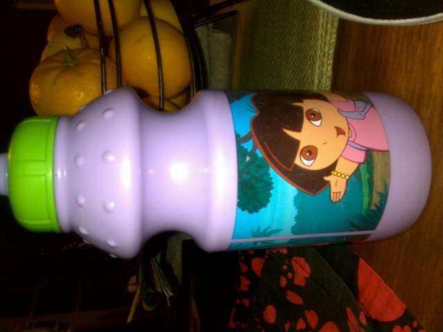 MY DORA DRINK BOTTLE!! xx
