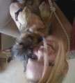 puppy lov
