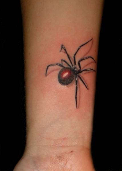 spider