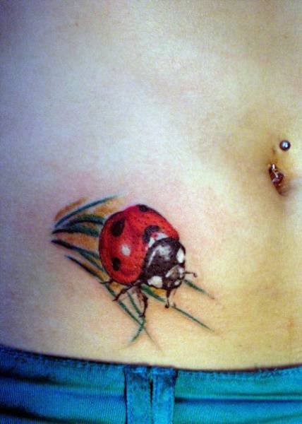lady bug