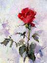 rose paint