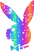 Rainbow playboy