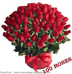 roses
