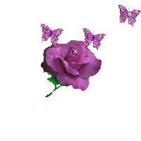 Purple Rose & b*tter