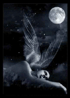 Moonlit Angel