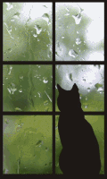 Cat In A Rainy Windo