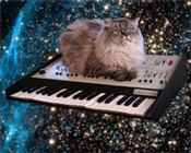 Space Music Cat